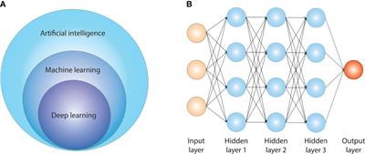 Artificial intelligence for precision medicine in autoimmune liver disease